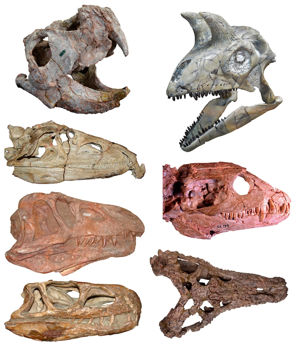 Como os dinossauros se diversificaram após a extinção ocorrida há 252 milhões de anos