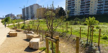 Uno de los nuevos corredores verdes de Sant Boi, con arbolado joven y zonas de estancia entre bloques de viviendas Ajuntament de Sant Boi de Llobregat