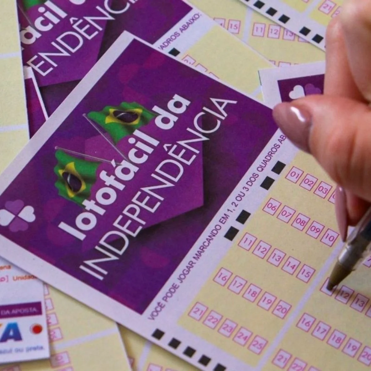 Lotofácil da Independência: três apostadores do DF ganham R$ 4,4 milhões