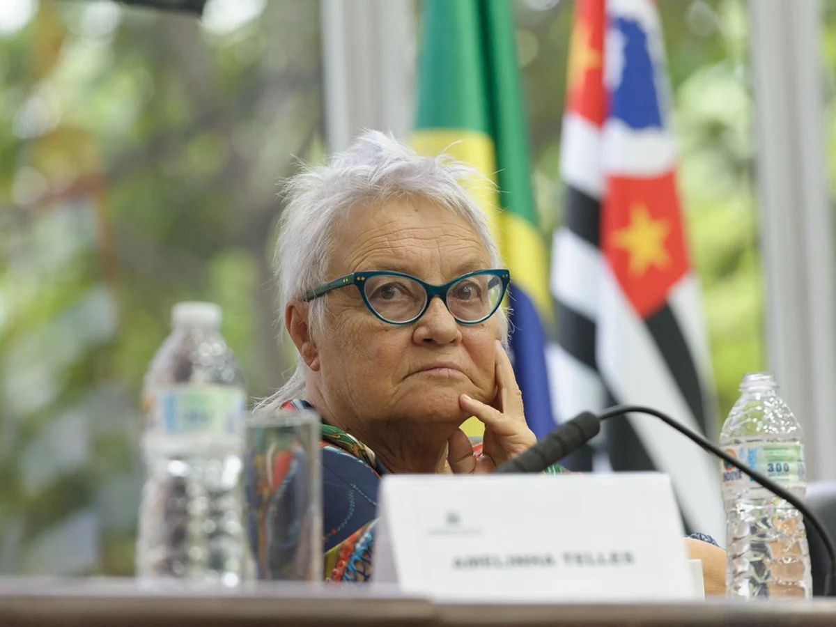 Morre Amelinha Teles, escritora e militante da ditadura militar