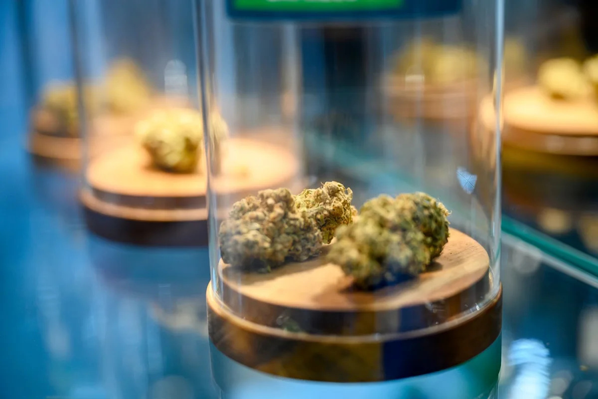 A pressão de Trump para reclassificar a maconha volta ao foco. O estoque da Tilray finalmente é uma compra?