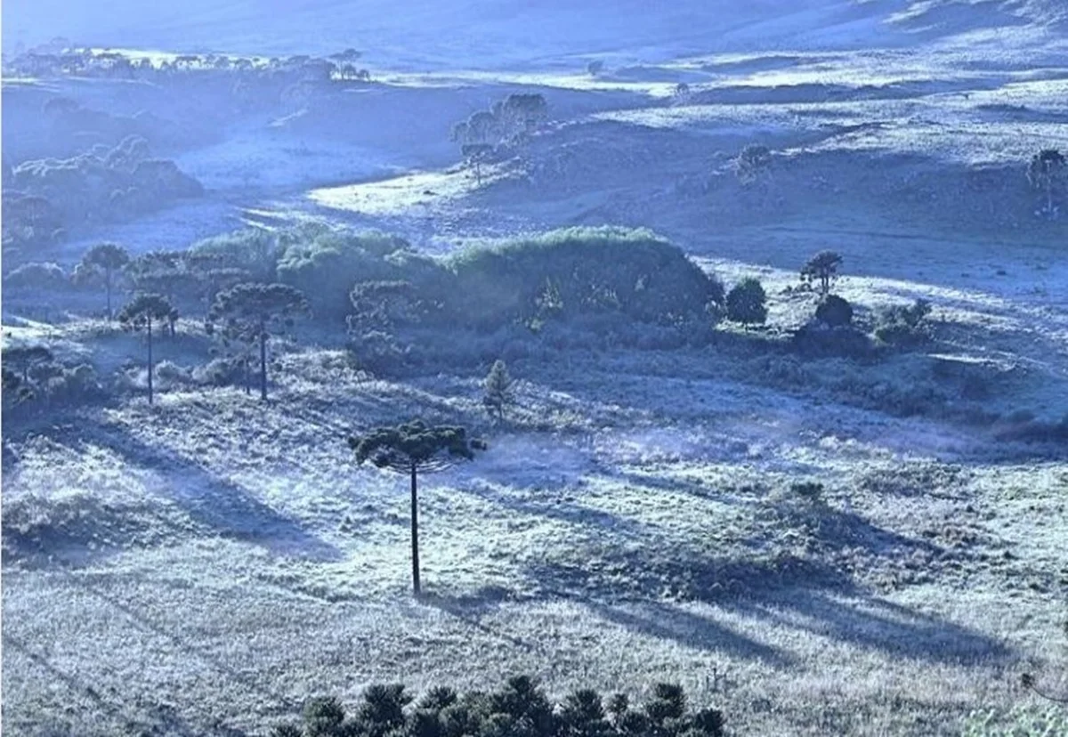 Clima: Brasil tem dia de contrastes, com geada no Sul e calor no Norte