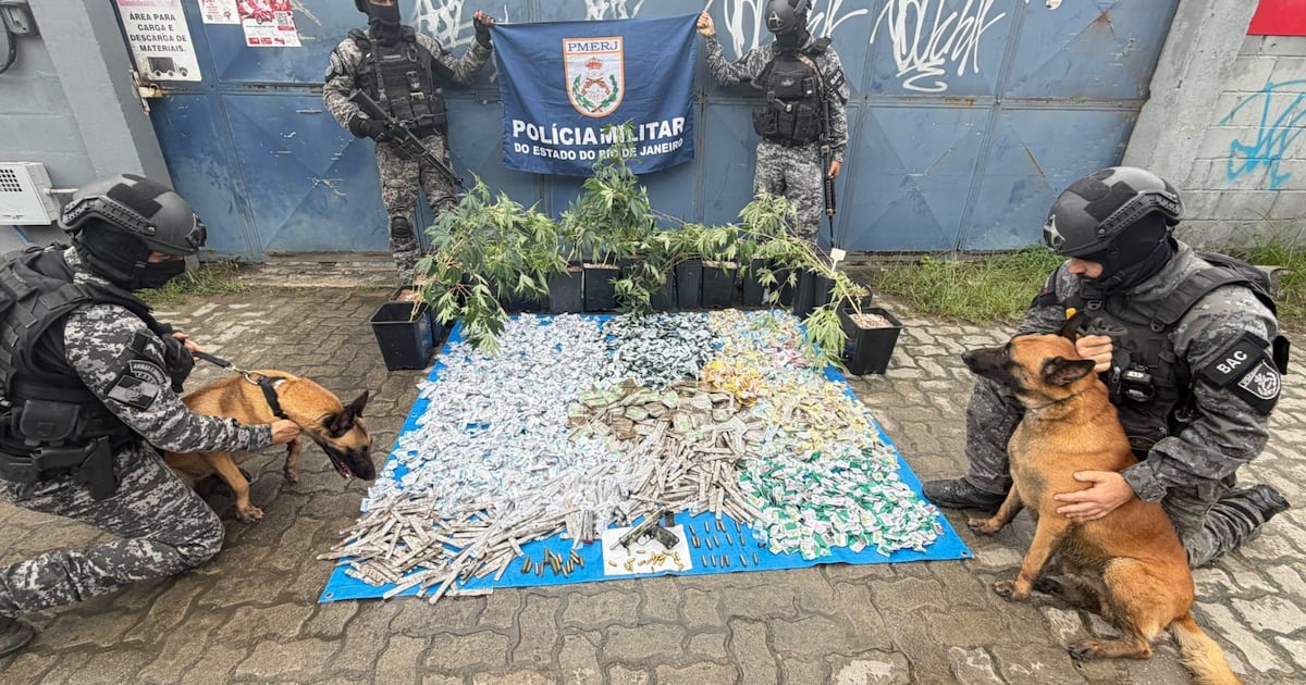 PM encontra grande quantidade de drogas durante operação na comunidade César Maia, no Rio