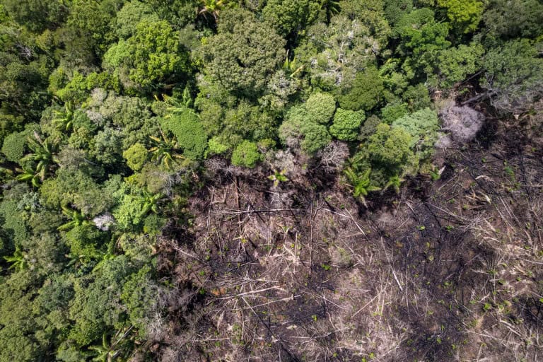 Eventos climáticos extremos no centro da Amazônia preocupam cientistas
