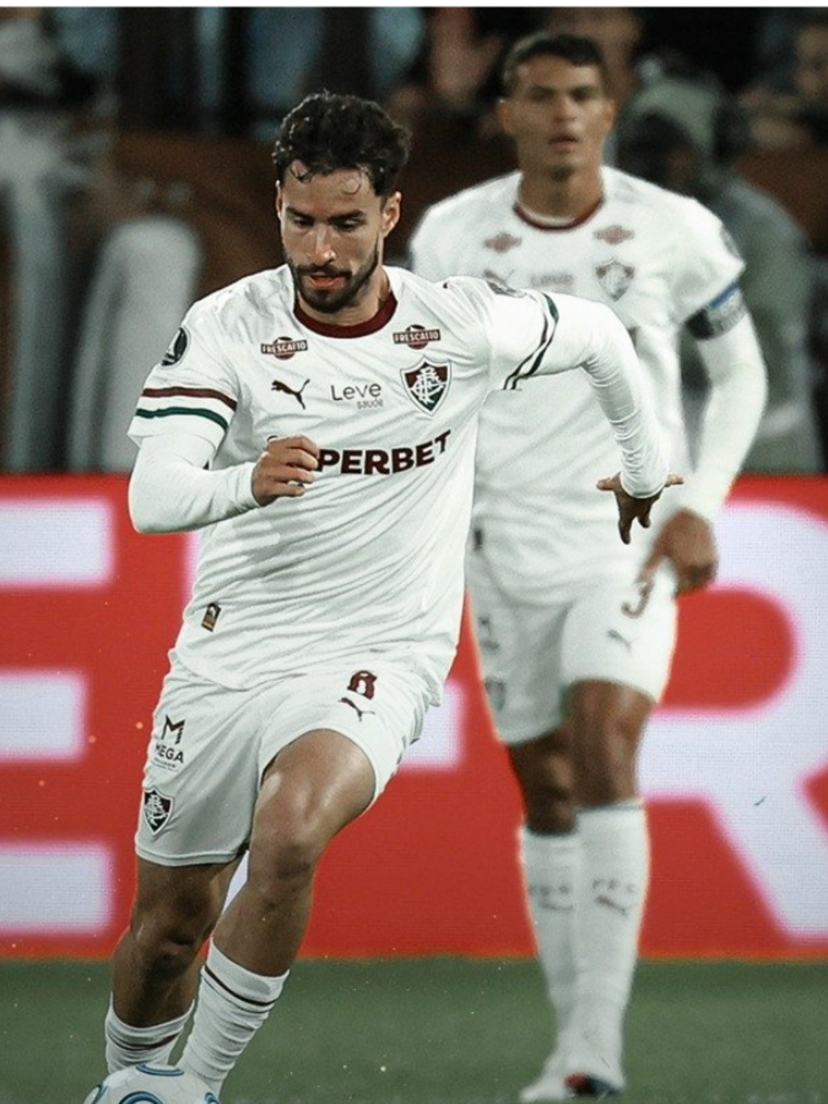 Fluminense está classificado para a semifinal da Libertadores da América