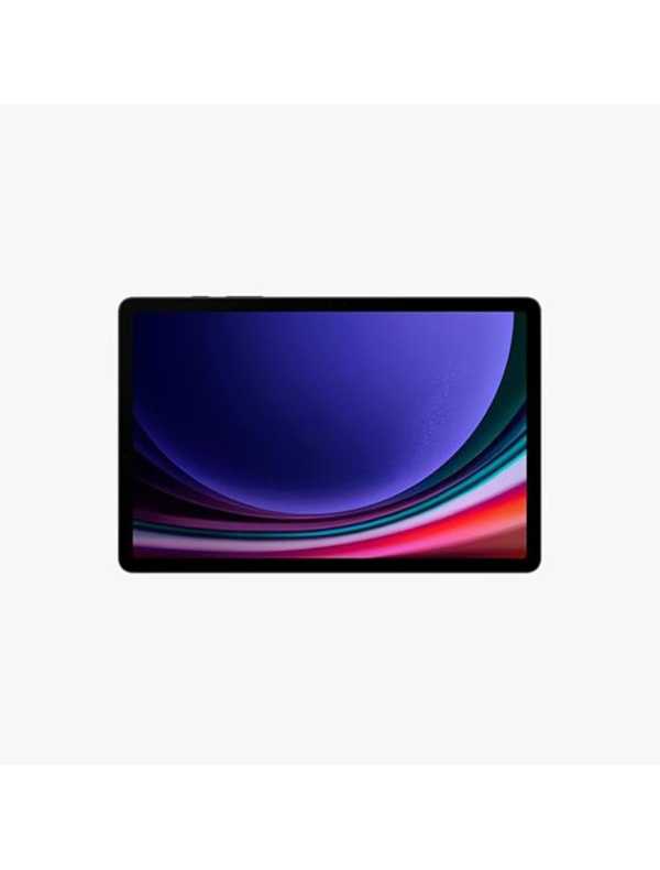 Samsung Galaxy Tab S9 (256 GB)
