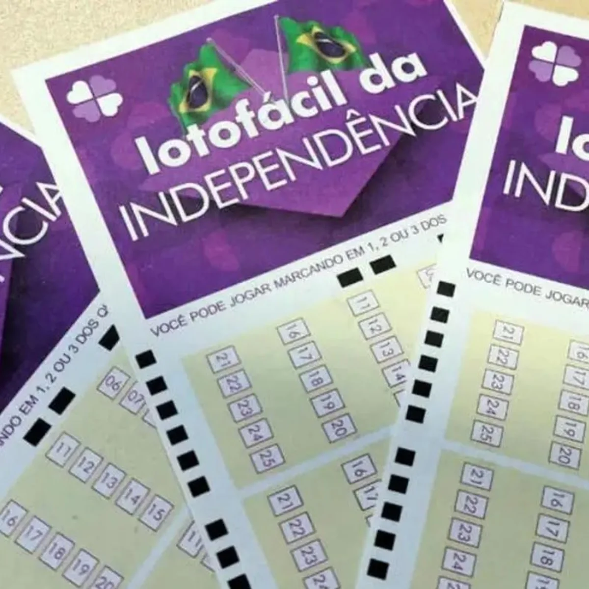 Lotofácil da Independência: 12 apostas de MG faturam R$ 4,4 milhões