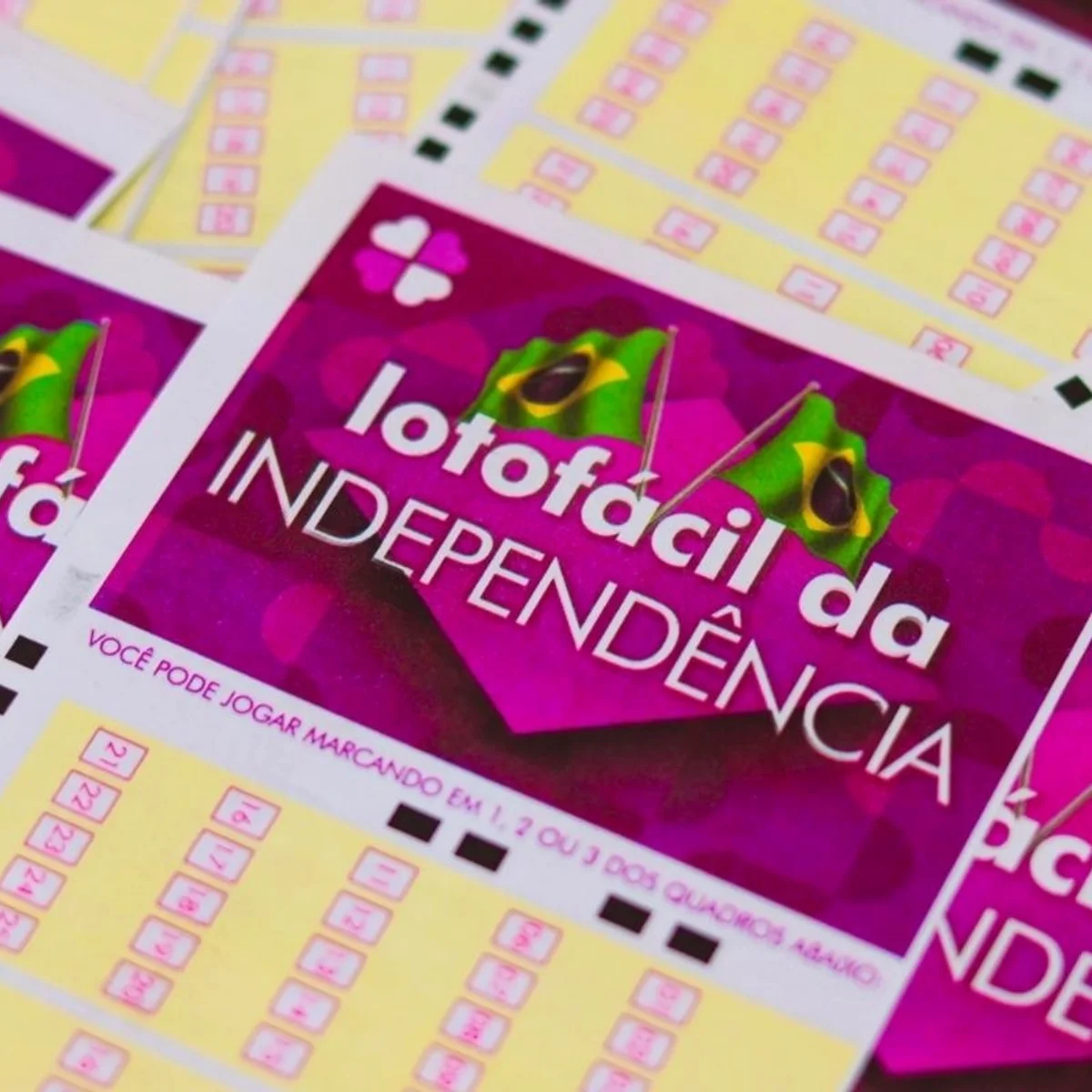 Lotofácil da Independência: 72 apostas vão dividir prêmio de R$ 300 milhões