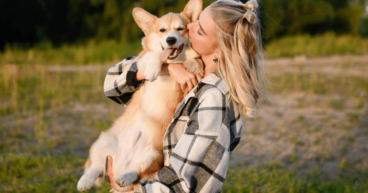 Encostar o focinho na mão e colocar a pata sobre o tutor: veja 6 sinais de que o cachorro quer carinho