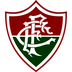 Imagem da matéria: Fluminense deixa "ponto de interrogação" mesmo com classificação