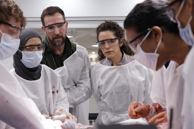 5 séries que brilharam no Emmy 2026 e você precisa assistir