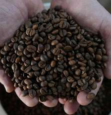 O cafeicultor Lucas Venturim segura grãos de café robusta na loja de sua fazenda em São Domingos do Norte, no estado do Espírito Santo, Brasil, em 23 de setembro de 2025. REUTERS/Alexandre Meneghini Foto: Reuters