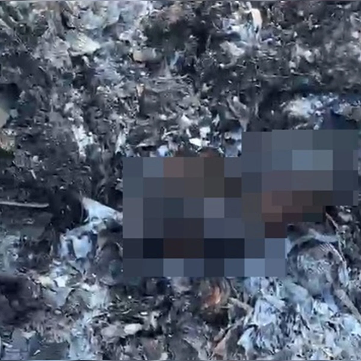 Recém-nascido carbonizado: PCDF recolhe imagens para elucidar o caso