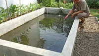 10 Cara Menjaga Suhu Air Kolam Lele Saat Kemarau agar Ikan Tidak Stres