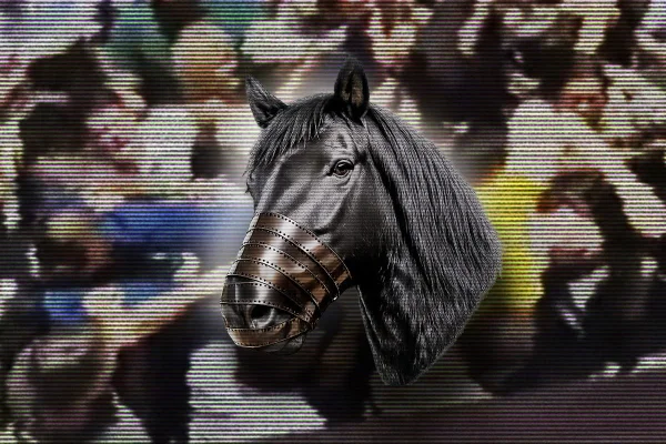 Caso Dark Horse: polícia busca servidores que validaram pagamentos a ONG
