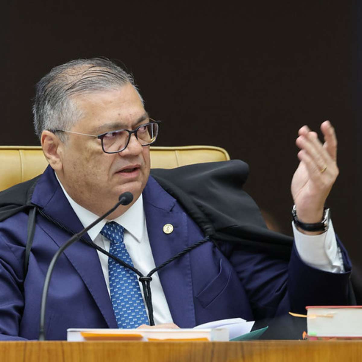 De Aristóteles a Clarice Lispector: veja referências citadas por ministro em julgamento no STF