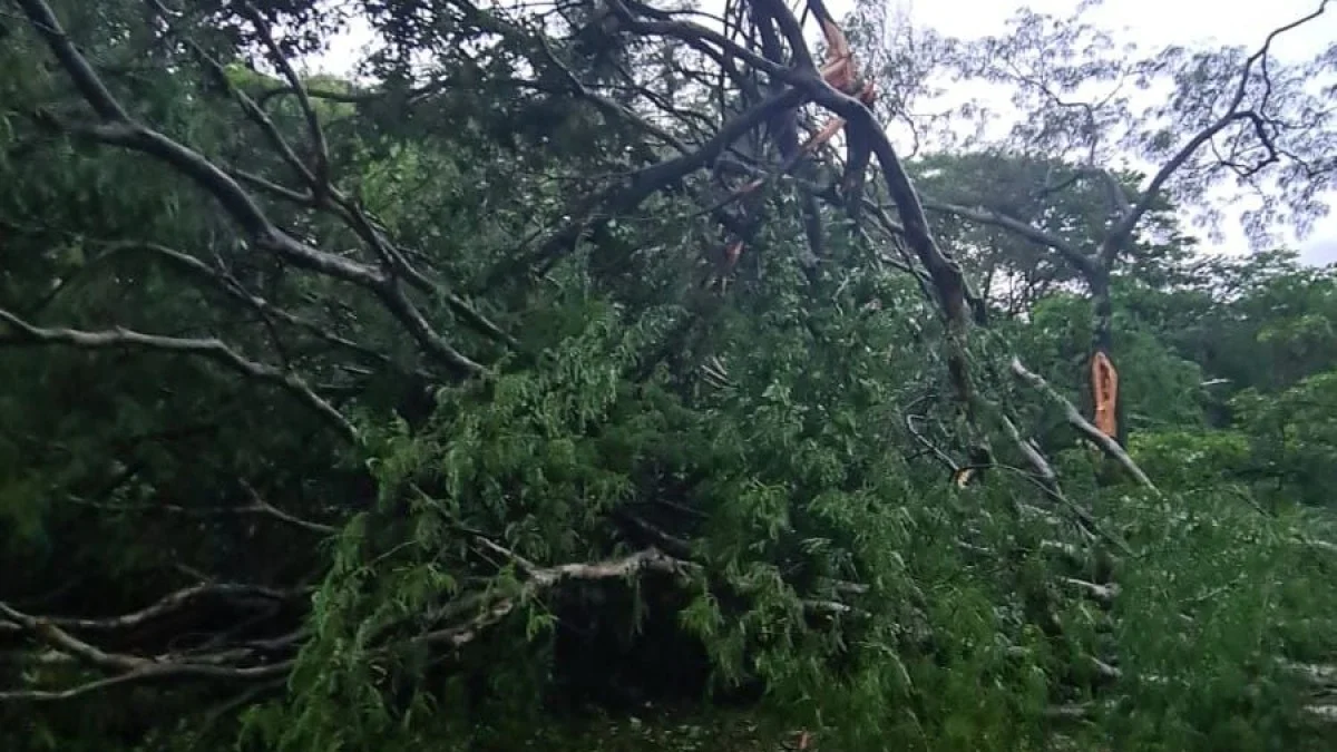 MG: temporal, granizo e ventos de até 60 km/h deixam 661 cidades sob alerta