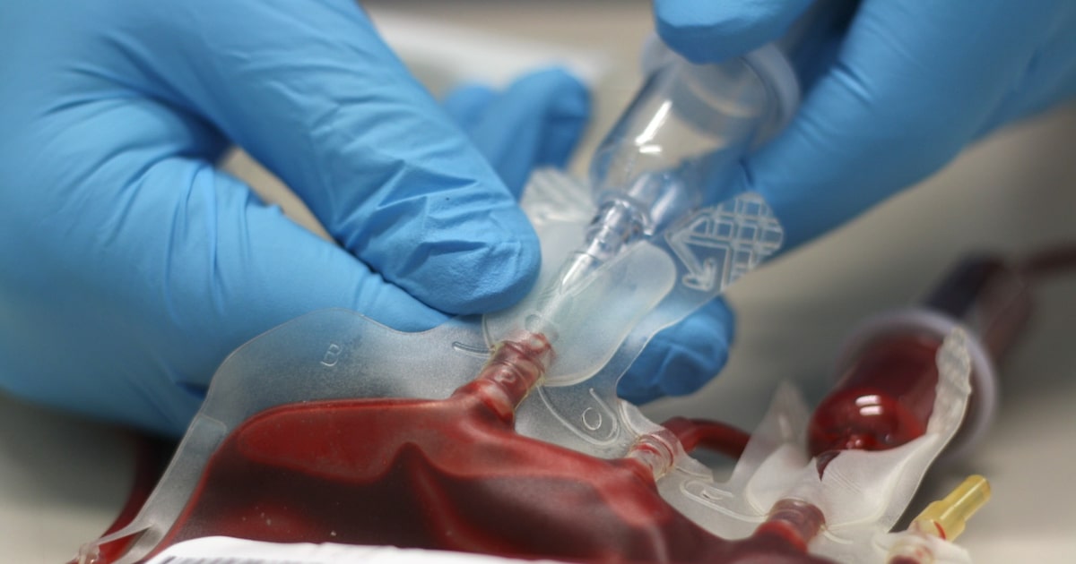 Testemunhas de Jeová adotam nova regra para recebimento e doação de sangue