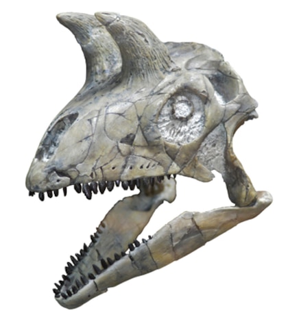 Como os dinossauros se diversificaram após a extinção ocorrida há 252 milhões de anos
