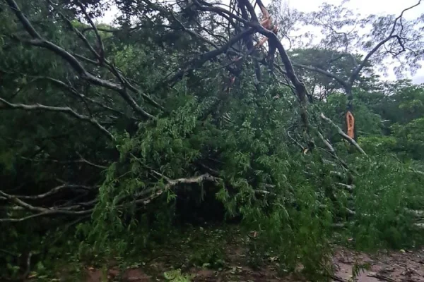 MG: temporal, granizo e ventos de até 60 km/h deixam 661 cidades sob alerta