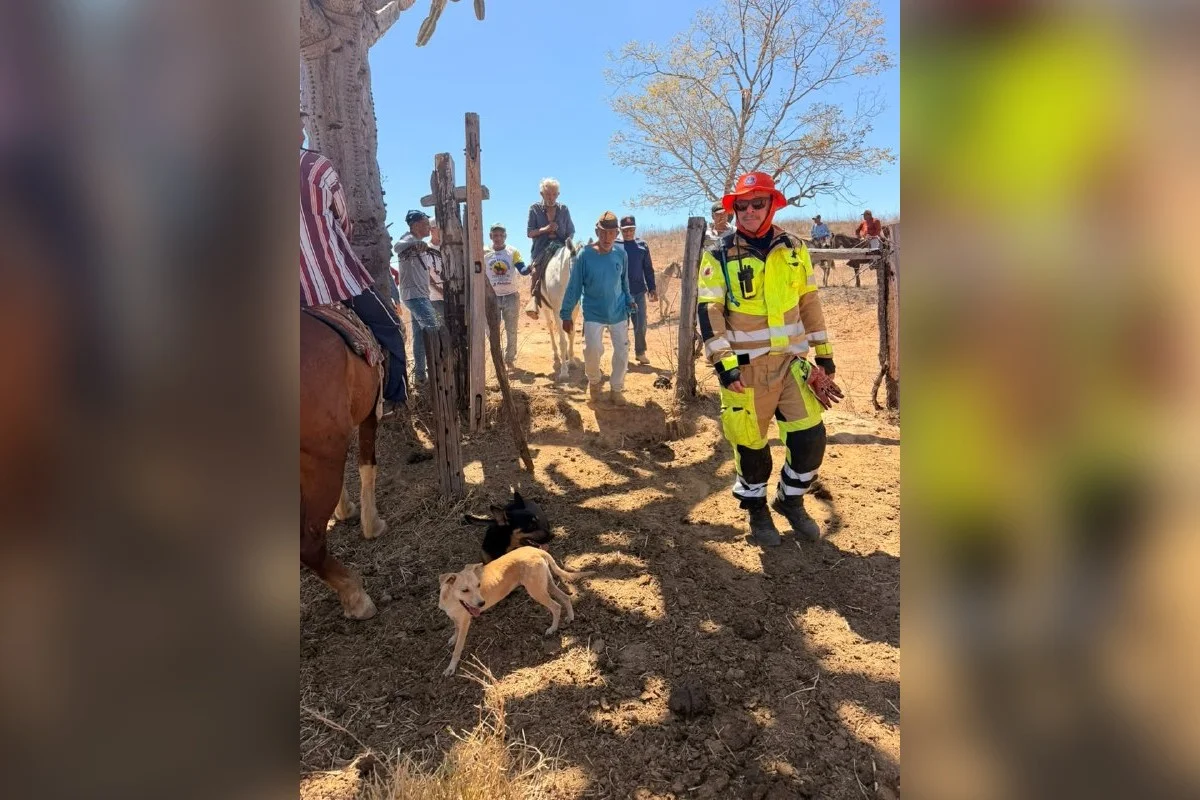 MG: homem de 94 anos é localizado após buscas em mata de Araçuaí