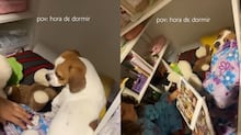 ‘Bolo de tijolo’? Mulher decora bloco de construção para se vingar de caloteira 🎂🧱