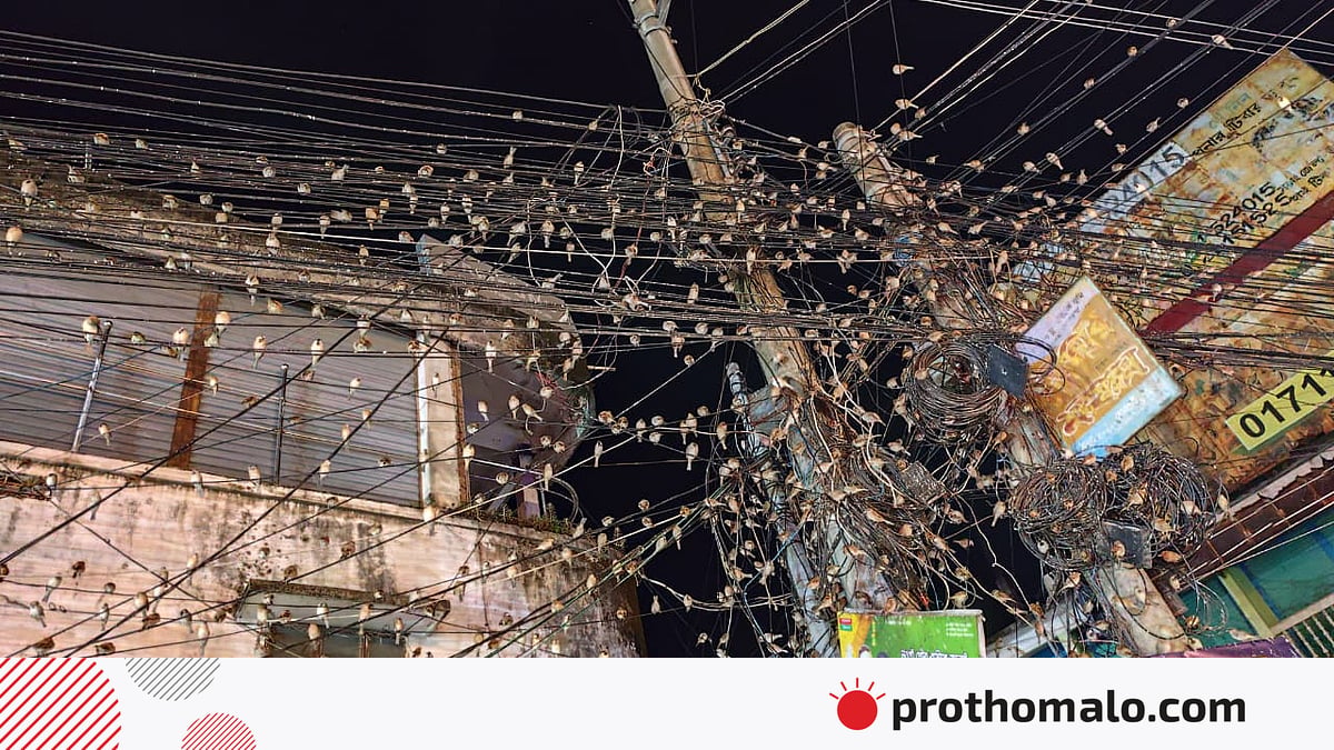 Em uma cidade movimentada, à noite, centenas de pardais