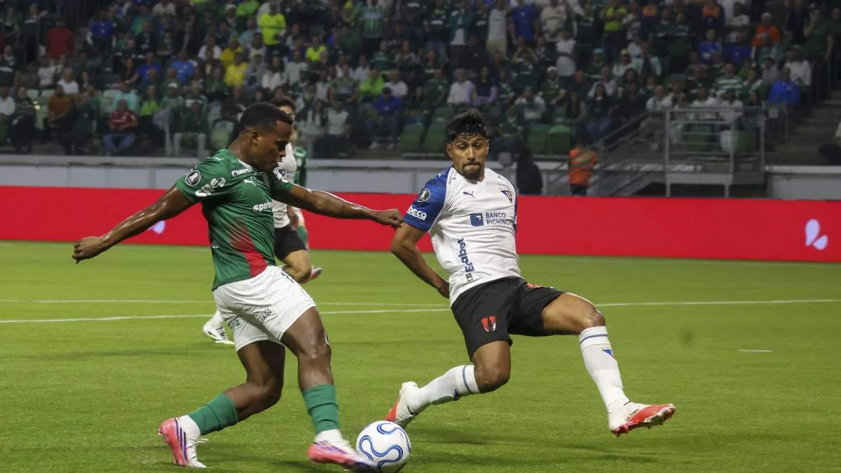 LDU x Palmeiras: Verdão tenta evitar novo susto na altitude